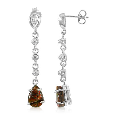 Ammolite Silver Earrings