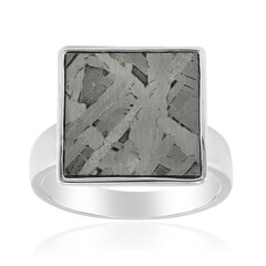 Aletai-Meteorite Silver Ring
