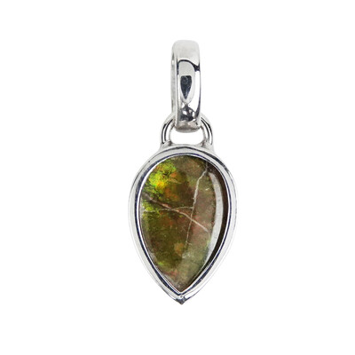 Ammolite Silver Pendant