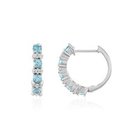 Ratanakiri Zircon Silver Earrings