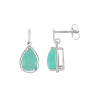 Amazonite Silver Earrings