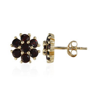 Garnet Silver Earrings