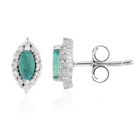 Grandidierite Silver Earrings