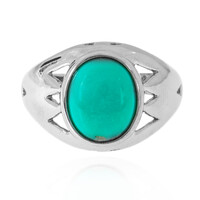 Campitos Turquoise Silver Ring (Anne Bever)
