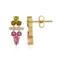 Fancy Tourmaline Silver Earrings
