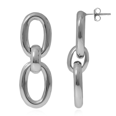 Silver Earrings (Joias do Paraíso)