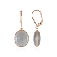 Silver Moonstone Silver Earrings (KM by Juwelo)