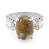 Dinosaur Bone Silver Ring