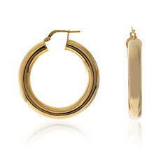 Silver Earrings (Joias do Paraíso)