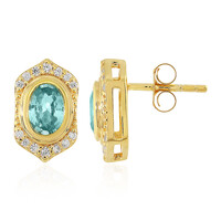Ratanakiri Zircon Silver Earrings