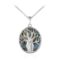 Abalone Shell Silver Necklace
