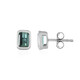Benedito Green Tourmaline Silver Earrings(Adela Silber)