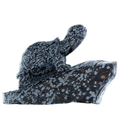Figure with Snowflake Obsidian (Lapis Vitalis)