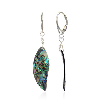 Abalone Shell Silver Earrings