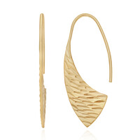 9K Gold Earrings