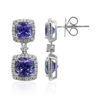 14K AAA Tanzanite Gold Earrings (CIRARI)