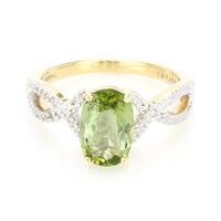 18K Paraiba Tourmaline Gold Ring (AMAYANI)