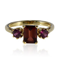 Mozambique Garnet Silver Ring