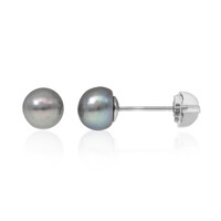Freshwater pearl Silver Earrings