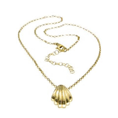 Silver Chain