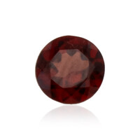 Mozambique Garnet