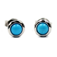 Sleeping Beauty Turquoise Silver Earrings (Faszination Türkis)