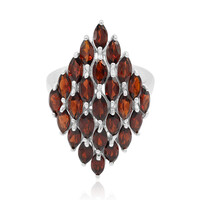 Mozambique Garnet Silver Ring