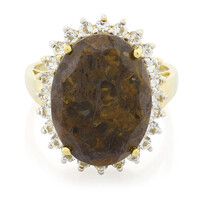 Dinosaur Bone Silver Ring