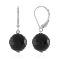 Onyx Silver Earrings