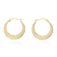 9K Gold Earrings