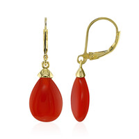 Red Agate Silver Earrings