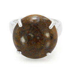 Dinosaur Bone Silver Ring