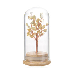 Accessory with Citrine