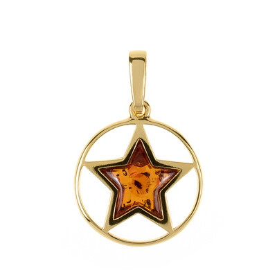 Baltic Amber Silver Pendant (dagen)