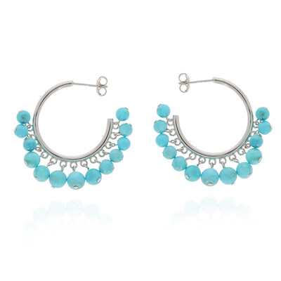 Sleeping Beauty Turquoise Silver Earrings (Anne Bever)