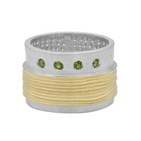 Russian Diopside Silver Ring