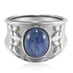 Kyanite Silver Ring (TPC)