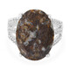 Dinosaur Bone Silver Ring