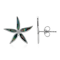 Abalone Shell Silver Earrings