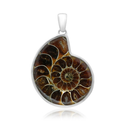 Ammonite Silver Pendant