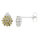 Fancy Diamond Silver Earrings