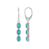 Turquoise Silver Earrings
