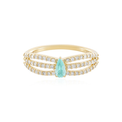 14K Brazilian Paraiba Tourmaline Gold Ring (AMAYANI)
