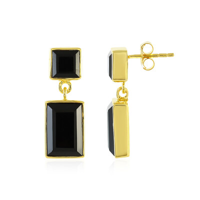 Black Onyx Silver Earrings