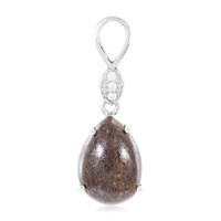 Dinosaur Bone Silver Pendant
