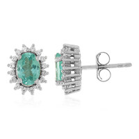 Blue Apatite Silver Earrings