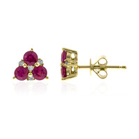 14K AAA Mozambique Ruby Gold Earrings (CIRARI)
