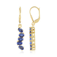 Nepal Kyanite Silver Earrings