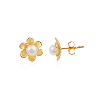 Freshwater pearl Silver Earrings