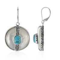 Mother of Pearl Silver Earrings (Art of Nature)
